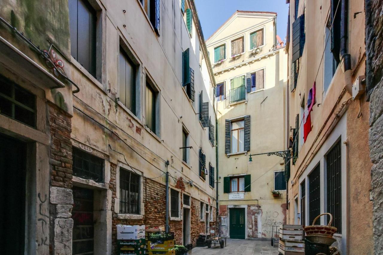 Ramo Venier By Halldis Venice